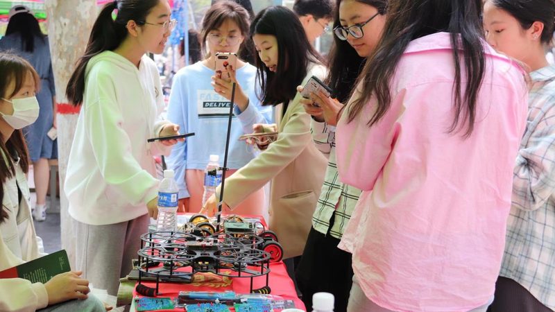 ELT工具学习平台：构建高效数据处理生态的关键